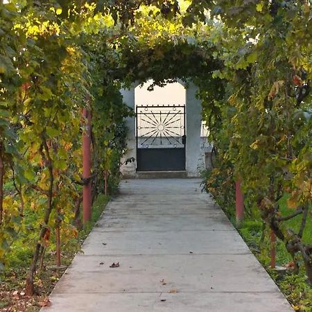 With Parking Spaces Bibinje, Zadar - 5732 Appartamento