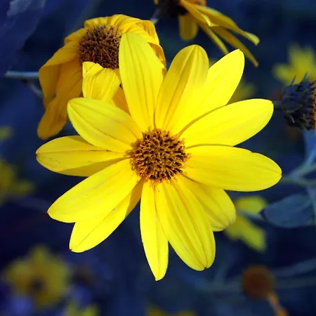 With Parking Spaces Bibinje, Zadar - 5732 * Bibinje