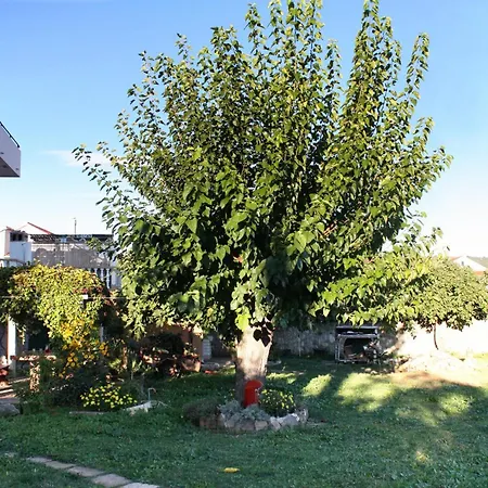 With Parking Spaces Bibinje, Zadar - 5732 Appartamento